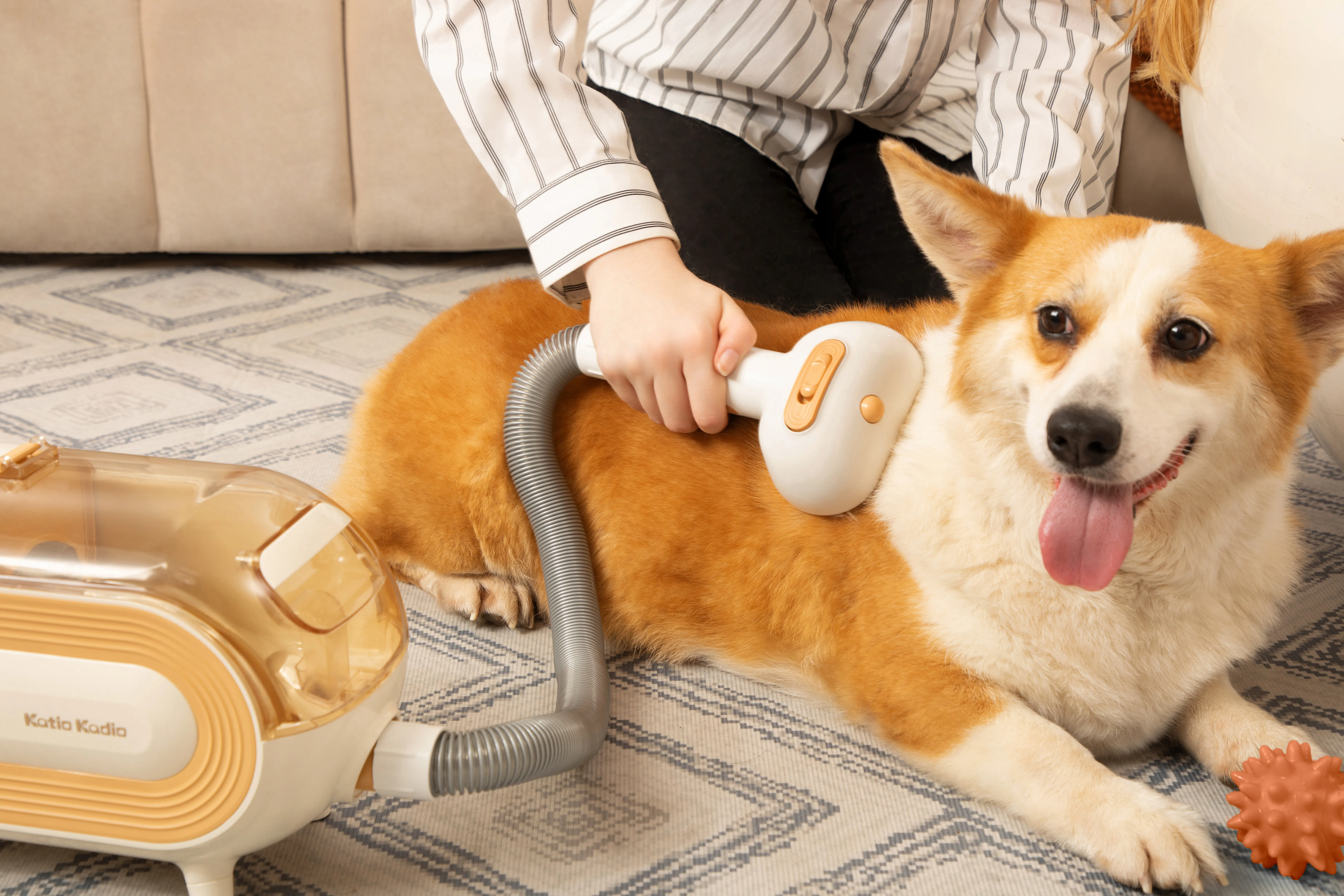 The Best Vacuums for Pet Hair: Keeping Your Home Clean and Your Dog Happy